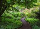 Garden by Mien Ruys