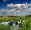 Haaksbergerveen, Holland